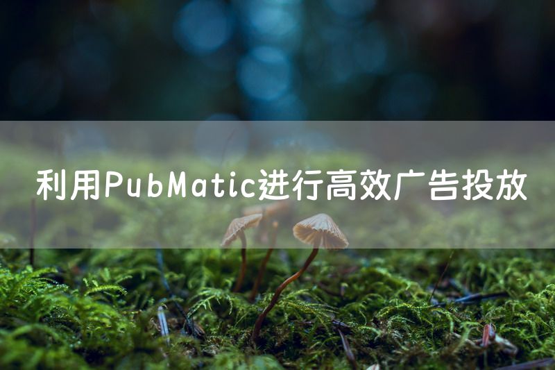 利用PubMatic进行高效广告投放