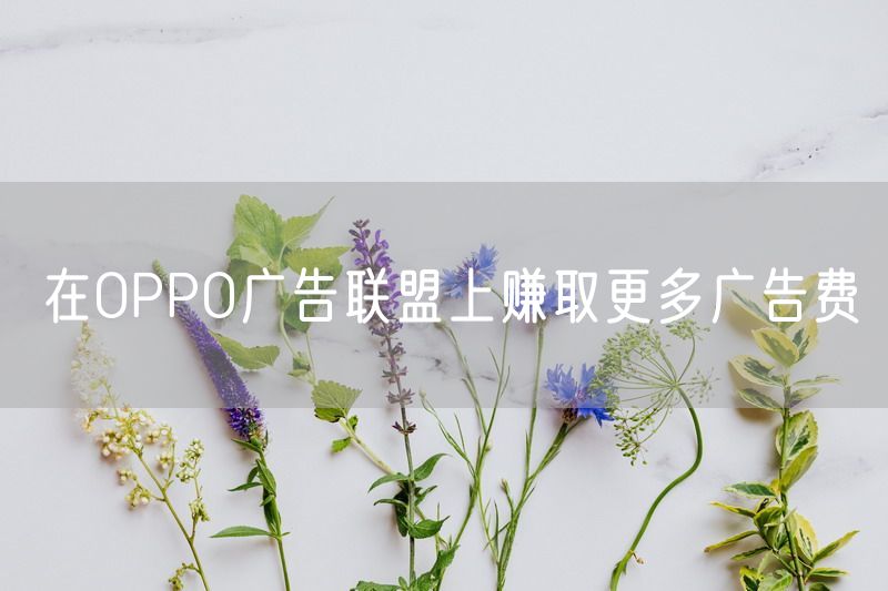 在OPPO广告联盟上赚取更多广告费