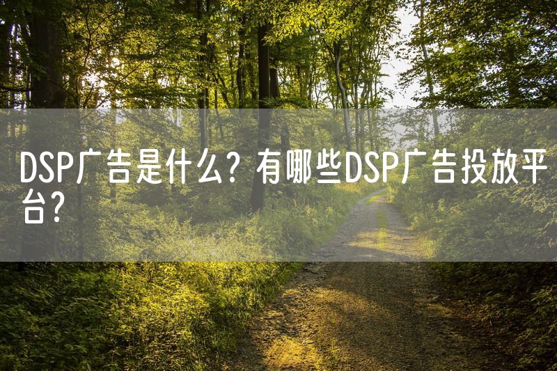 DSP广告是什么？有哪些DSP广告投放平台？