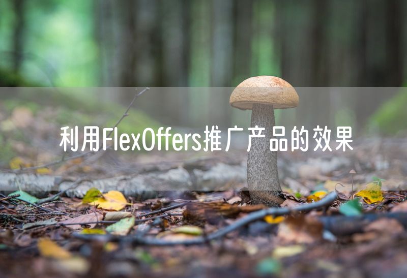 利用FlexOffers推广产品的效果