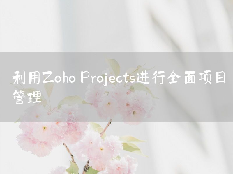 利用Zoho Projects进行全面项目管理