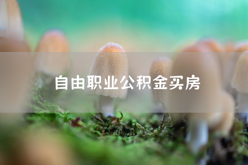 自由职业公积金买房