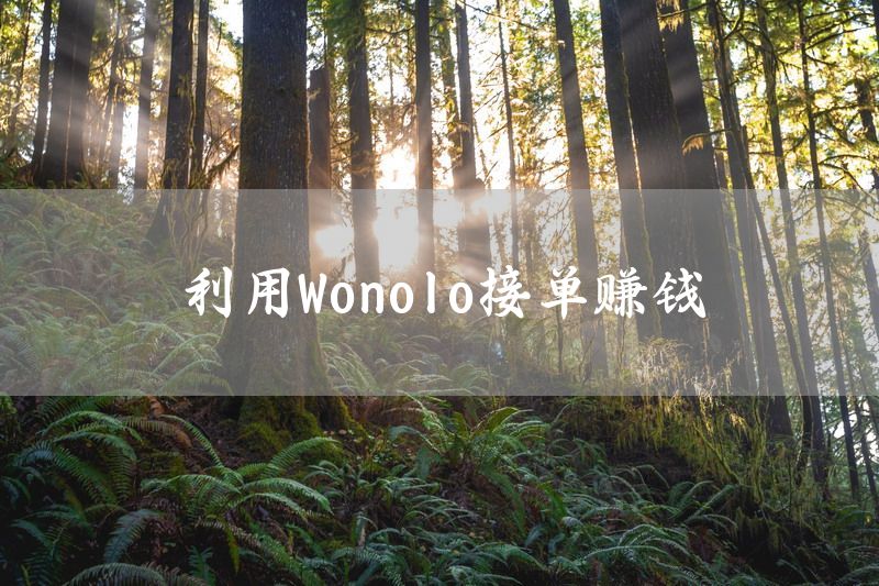 利用Wonolo接单赚钱