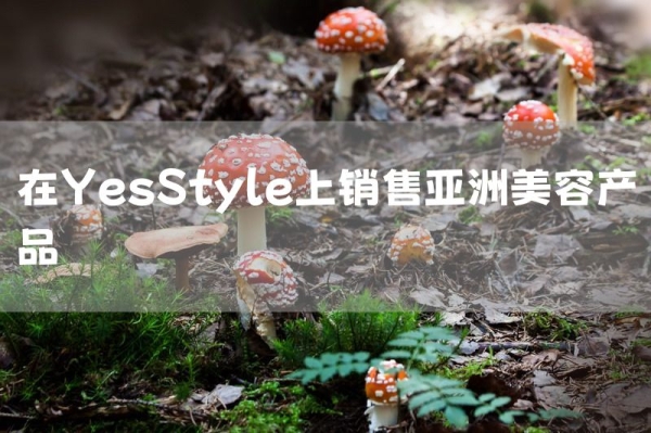 在YesStyle上销售亚洲美容产品