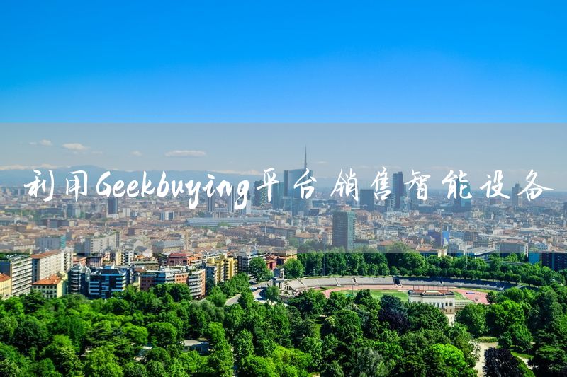 利用Geekbuying平台销售智能设备