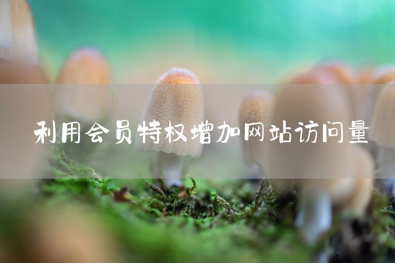 利用会员特权增加网站访问量