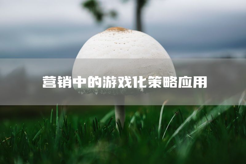 营销中的游戏化策略应用