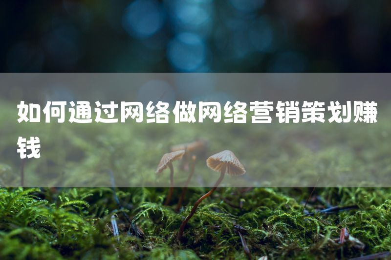 如何通过网络做网络营销策划赚钱