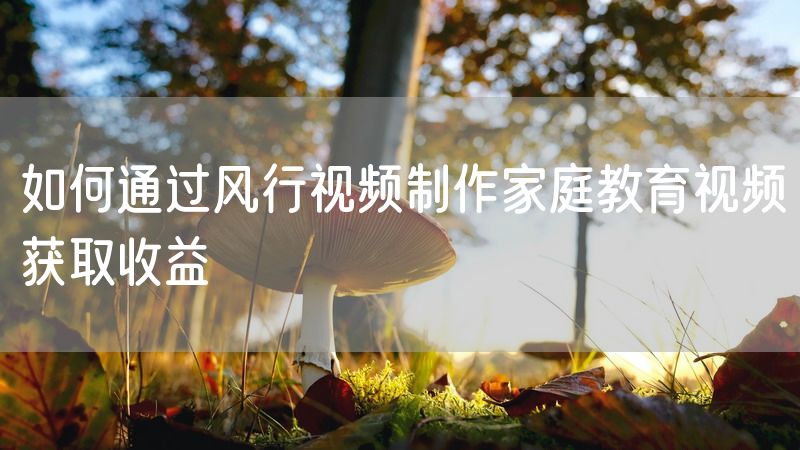 如何通过风行视频制作家庭教育视频获取收益