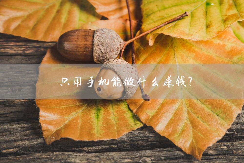 只用手机能做什么赚钱？