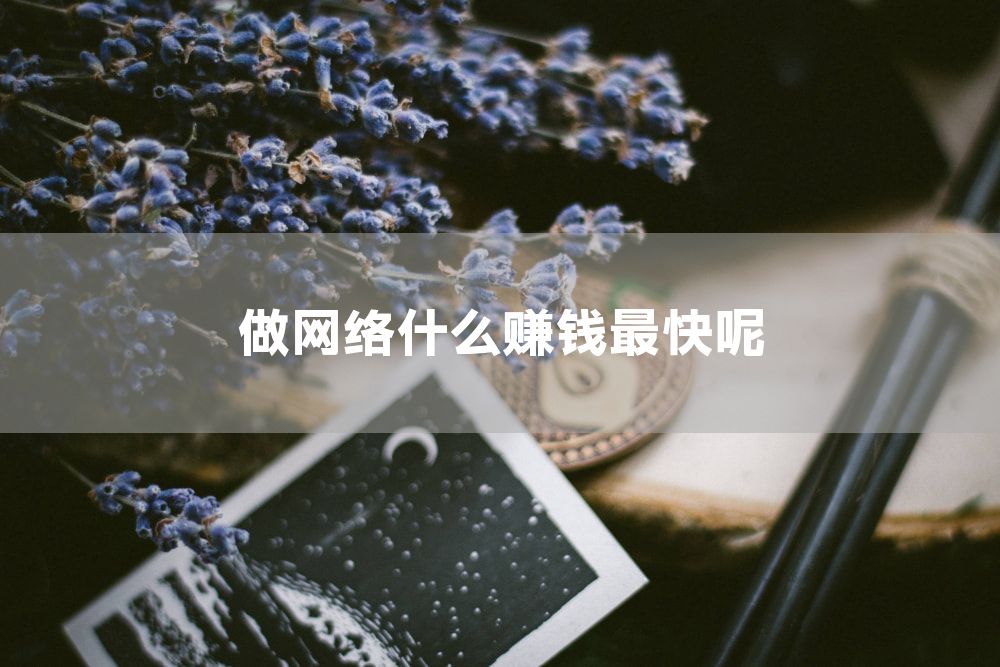 做网络什么赚钱最快呢