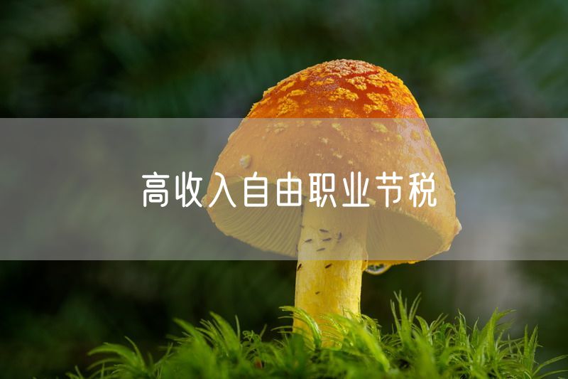 高收入自由职业节税