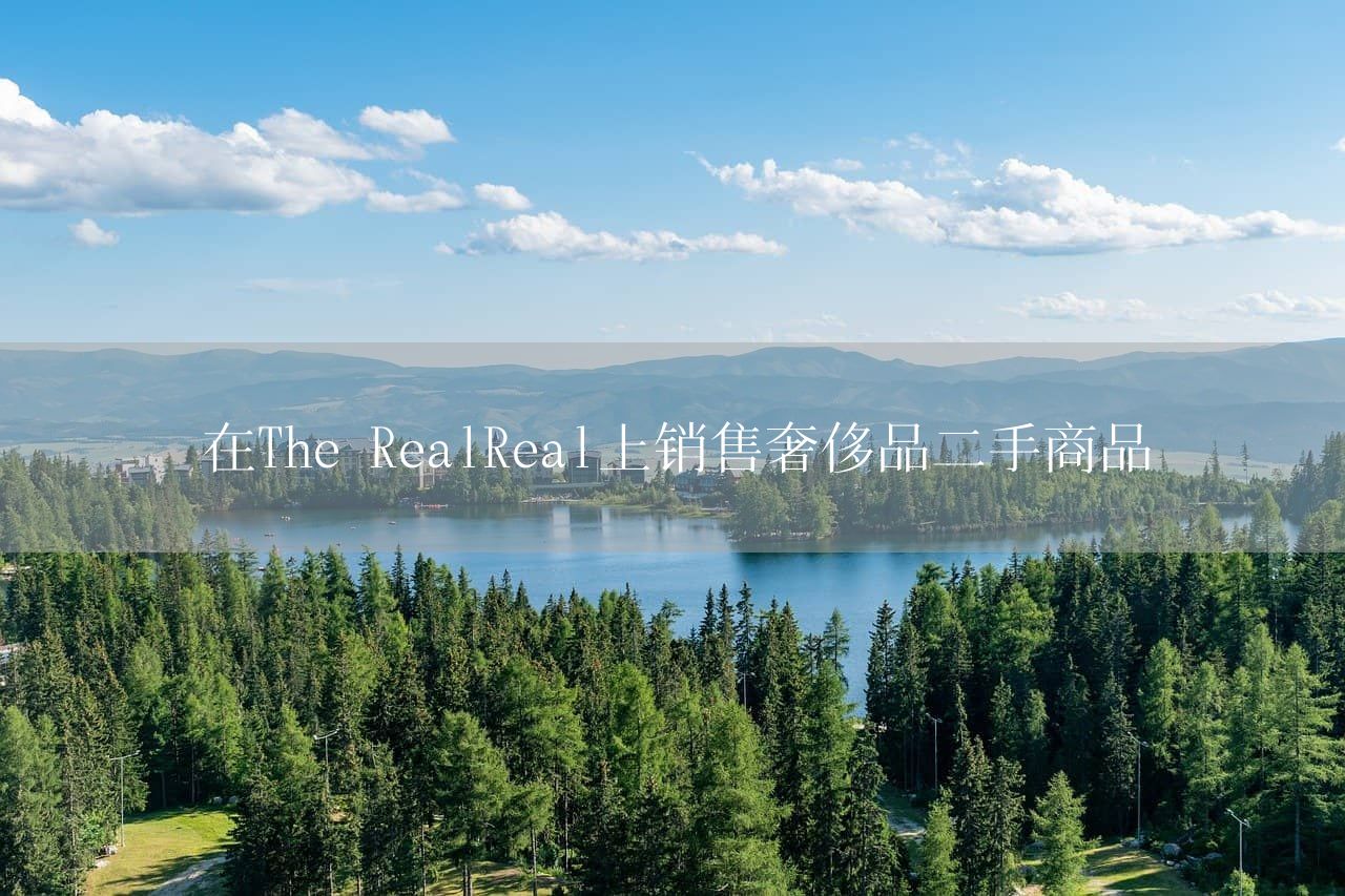 在The RealReal上销售奢侈品二手商品