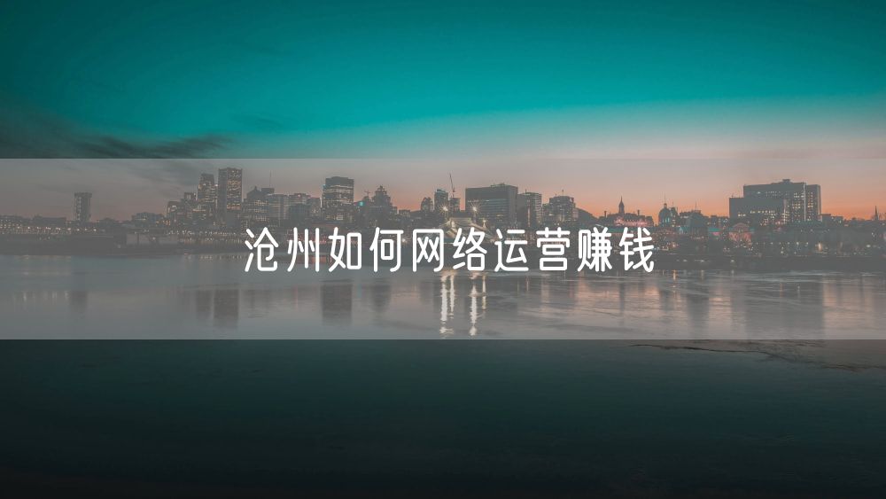 沧州如何网络运营赚钱