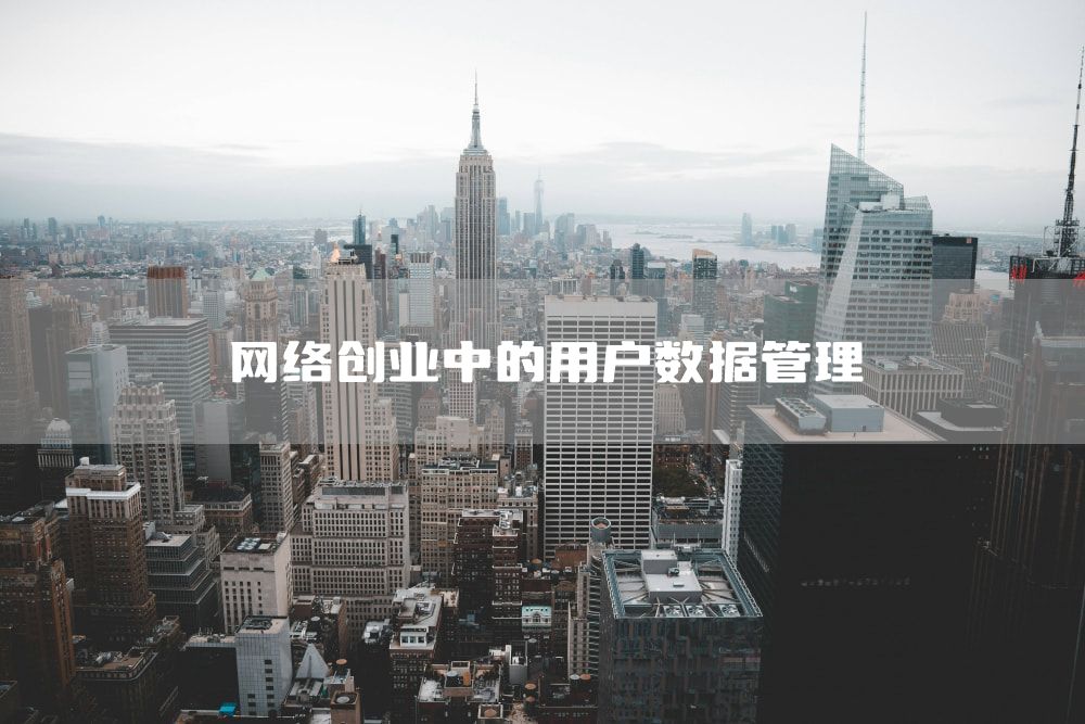 网络创业中的用户数据管理