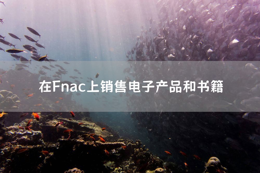 在Fnac上销售电子产品和书籍