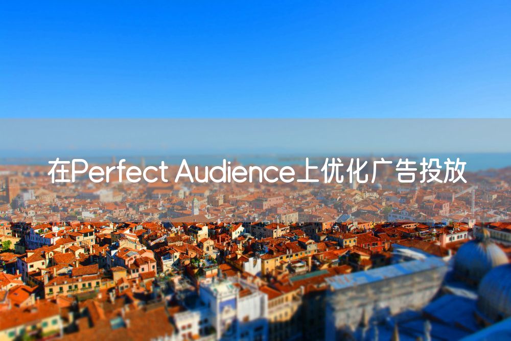 在Perfect Audience上优化广告投放