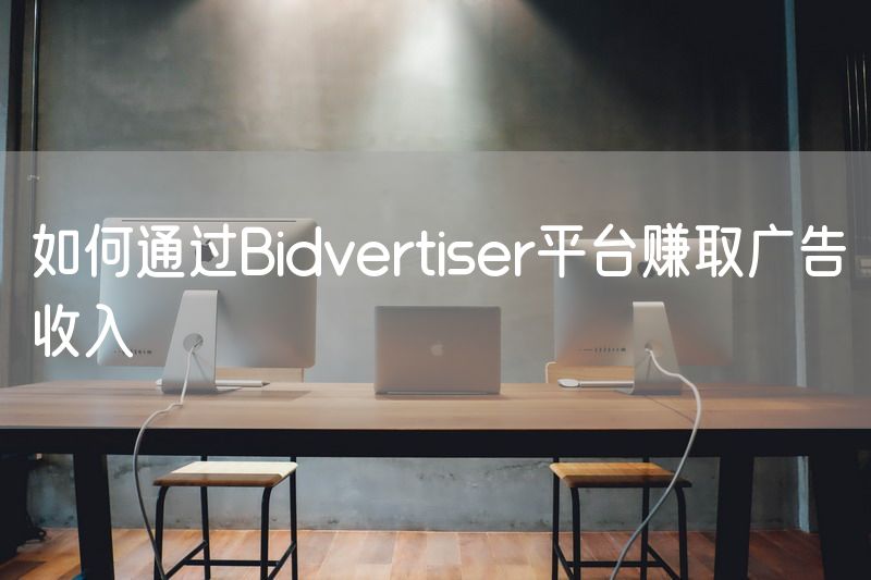 如何通过Bidvertiser平台赚取广告收入