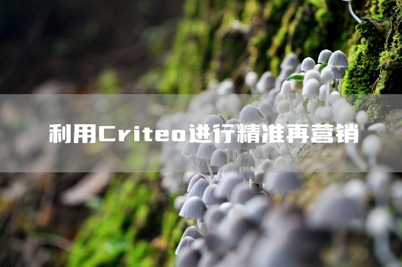 利用Criteo进行精准再营销