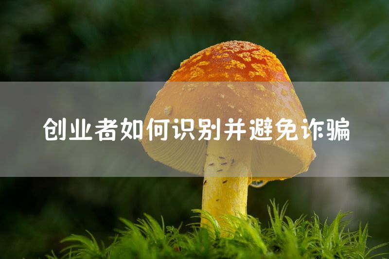 创业者如何识别并避免诈骗