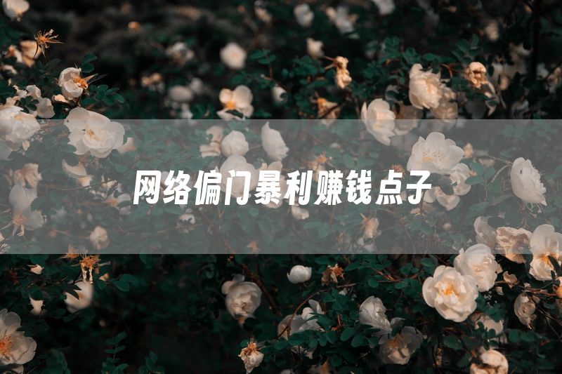 网络偏门暴利赚钱点子