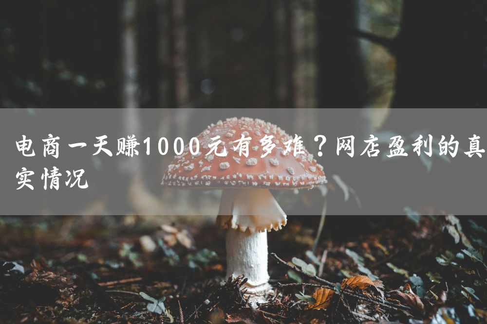 电商一天赚1000元有多难？网店盈利的真实情况