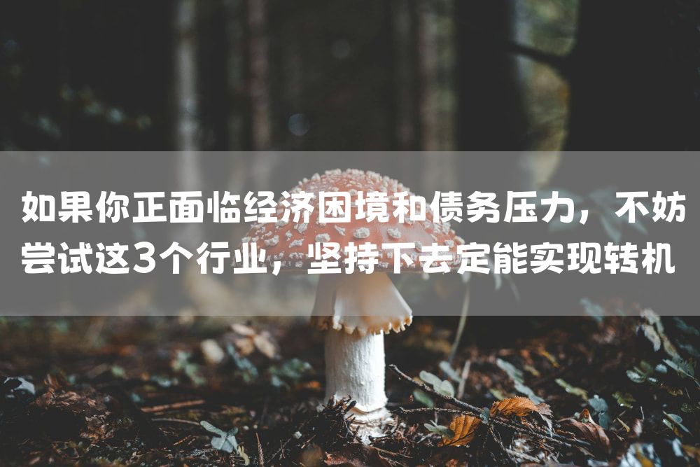 如果你正面临经济困境和债务压力，不妨尝试这3个行业，坚持下去定能实现转机