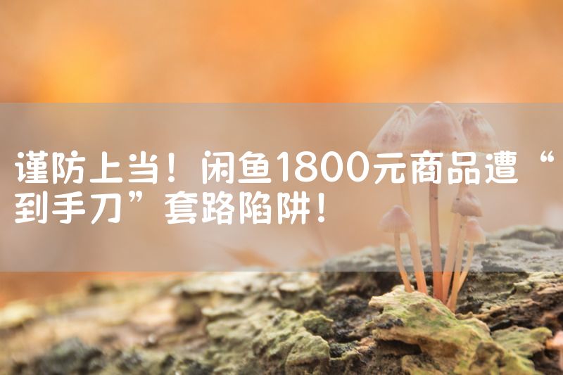 谨防上当！闲鱼1800元商品遭“到手刀”套路陷阱！