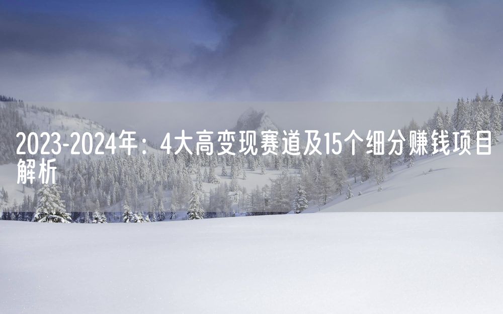 2023-2024年：4大高变现赛道及15个细分赚钱项目解析