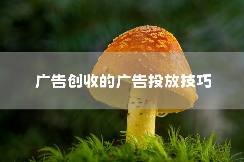 广告创收的广告投放技巧