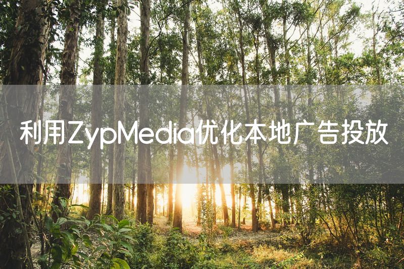 利用ZypMedia优化本地广告投放