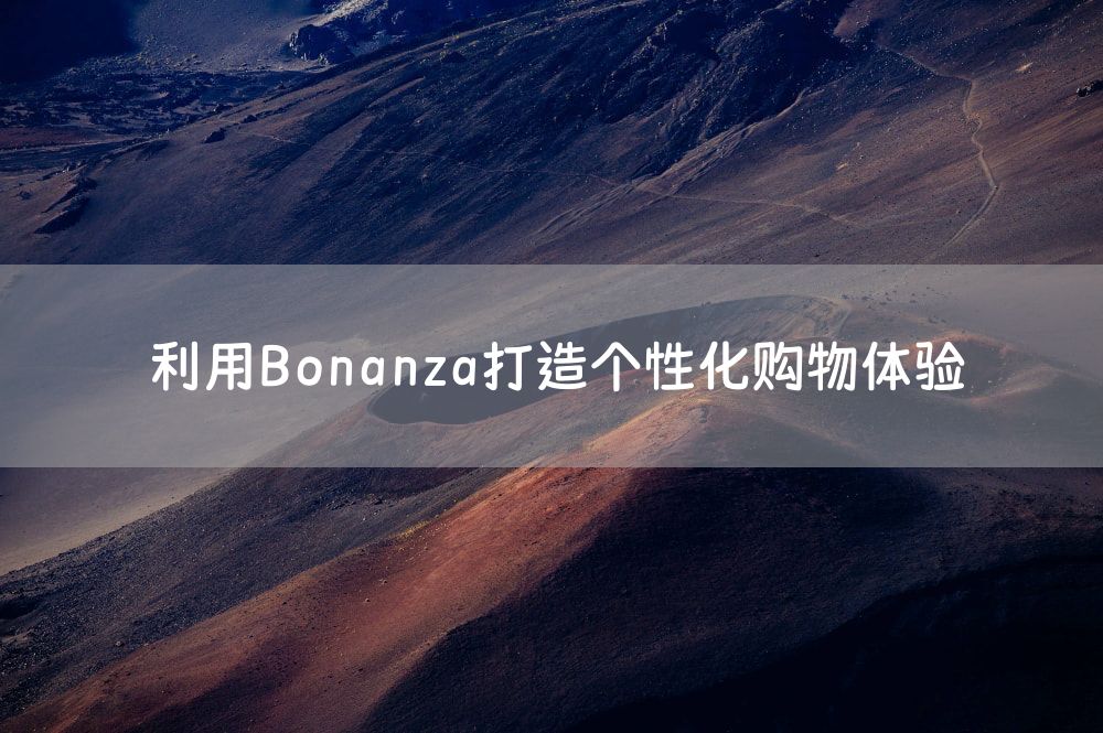 利用Bonanza打造个性化购物体验