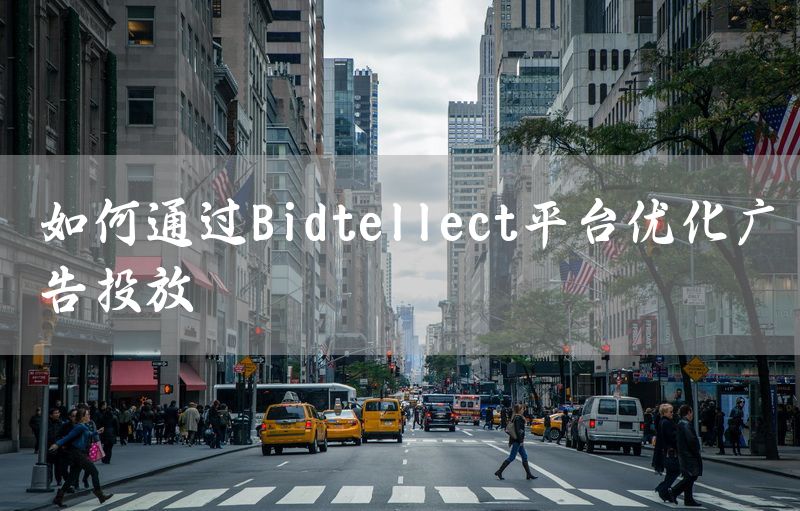 如何通过Bidtellect平台优化广告投放