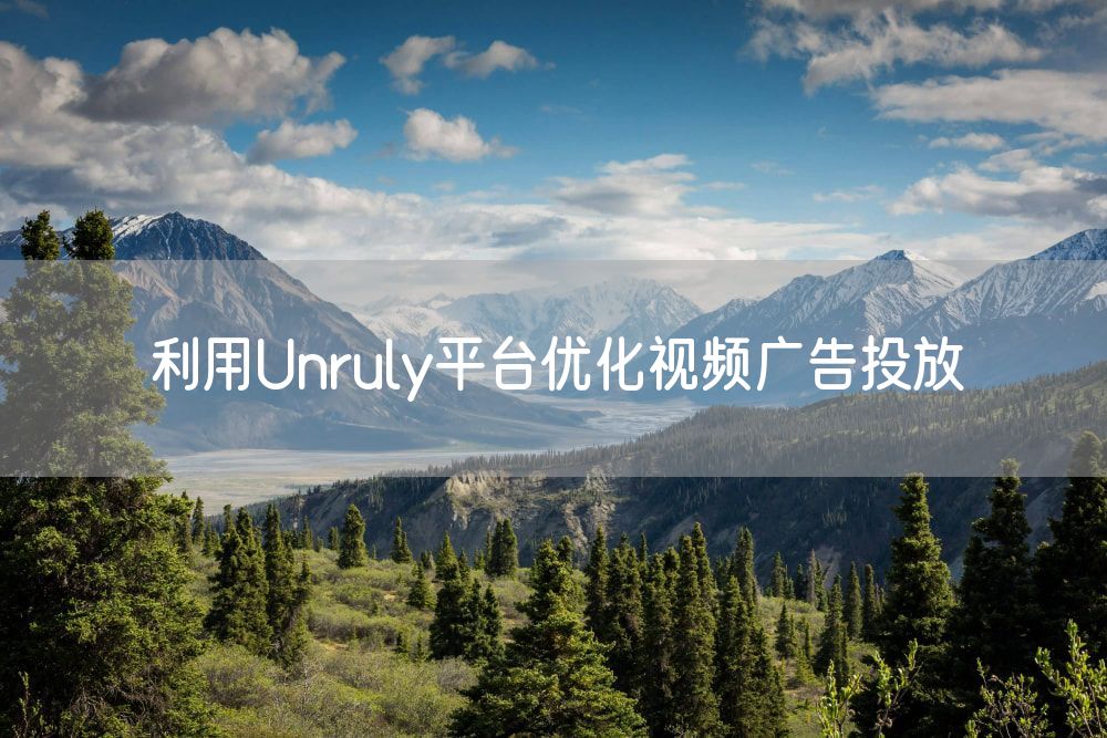 利用Unruly平台优化视频广告投放