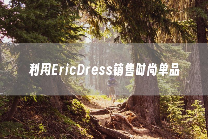 利用EricDress销售时尚单品