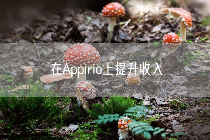 在Appirio上提升收入