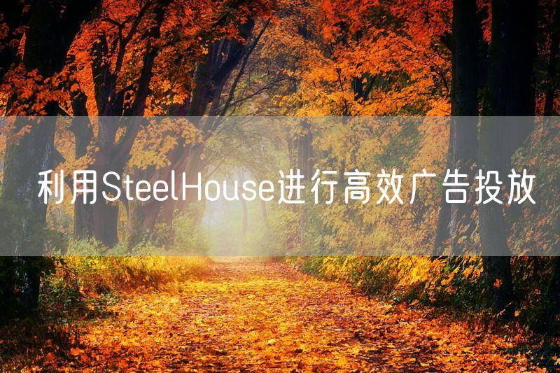 利用SteelHouse进行高效广告投放