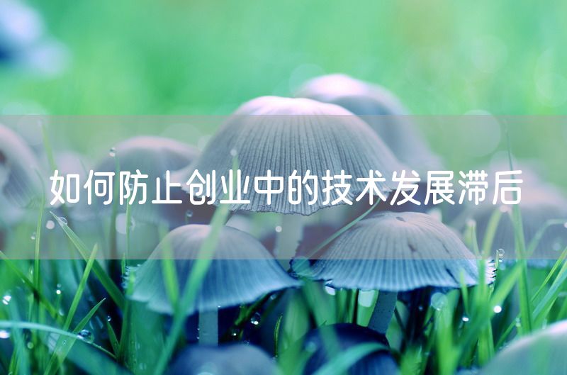 如何防止创业中的技术发展滞后