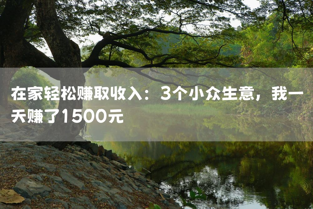 在家轻松赚取收入：3个小众生意，我一天赚了1500元