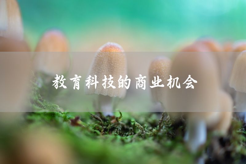 教育科技的商业机会