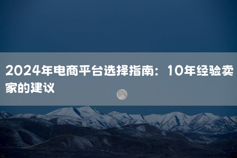 2024年电商平台选择指南：10年经验卖家的建议