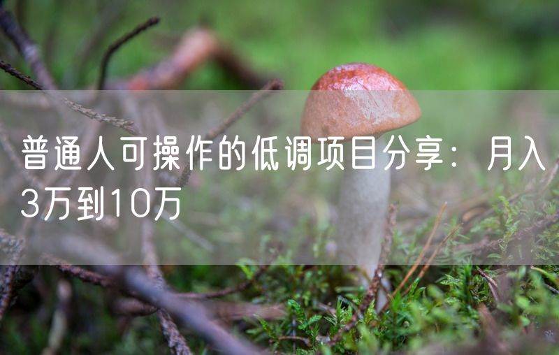 普通人可操作的低调项目分享：月入3万到10万