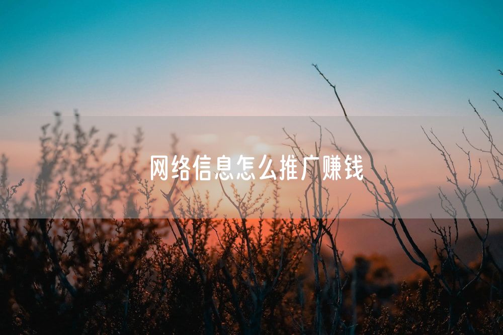 网络信息怎么推广赚钱