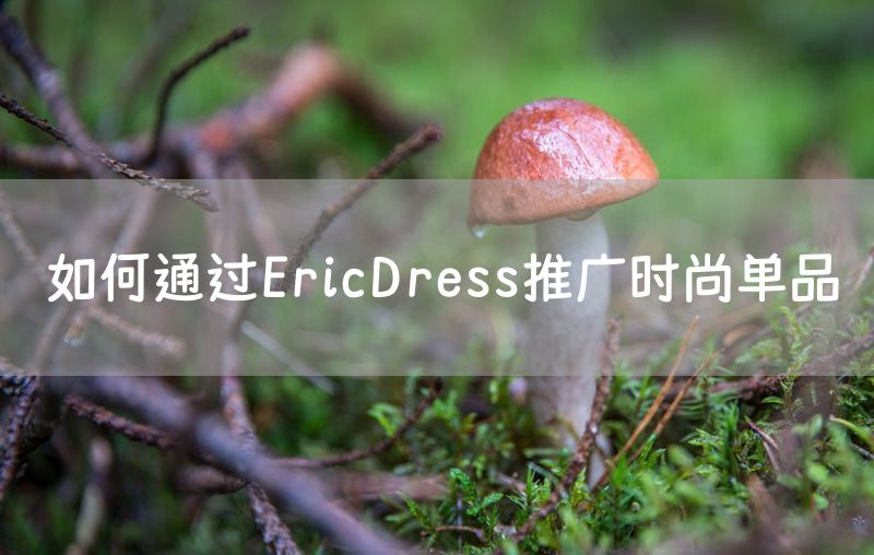 如何通过EricDress推广时尚单品