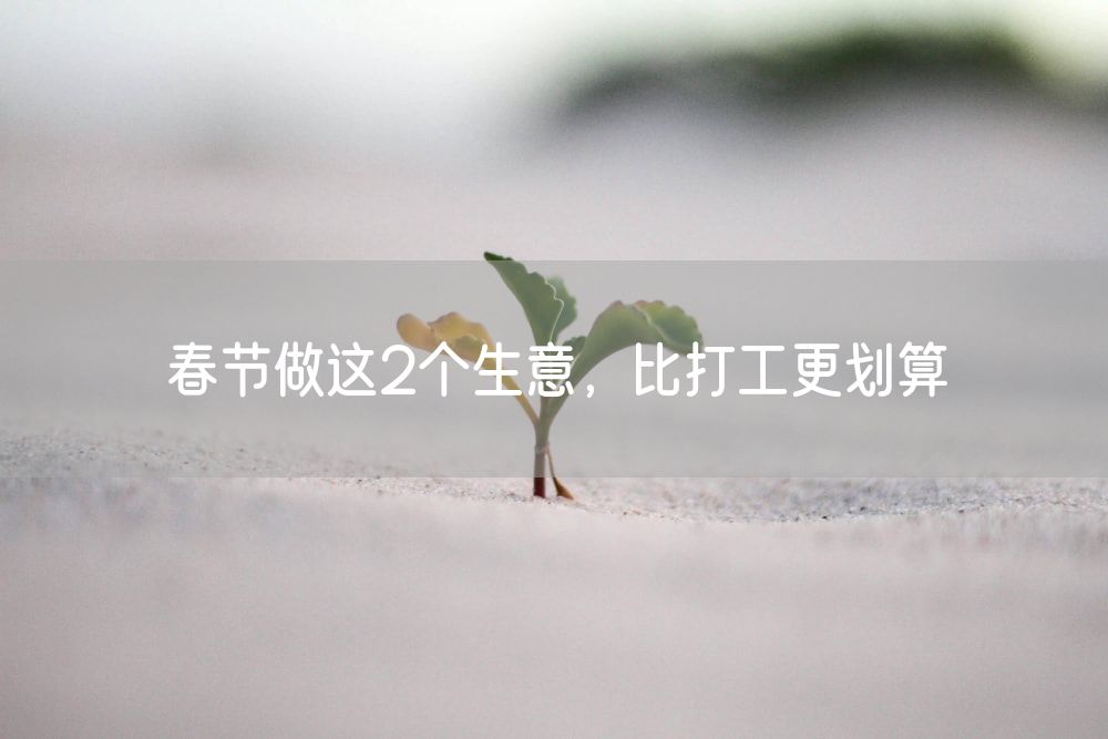 春节做这2个生意，比打工更划算