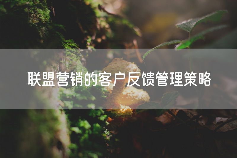 联盟营销的客户反馈管理策略