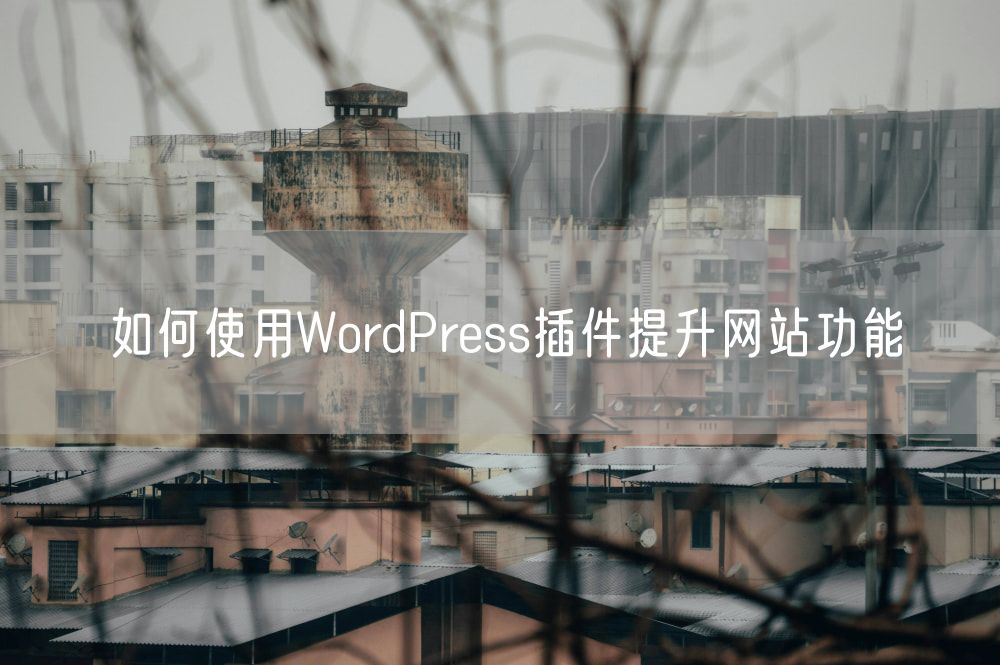 如何使用WordPress插件提升网站功能