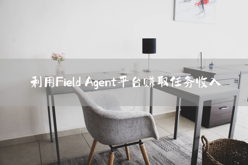 利用Field Agent平台赚取任务收入