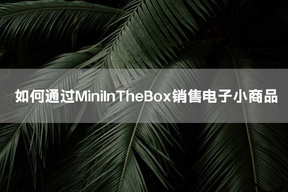 如何通过MiniInTheBox销售电子小商品