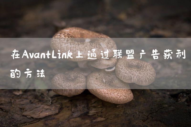 在AvantLink上通过联盟广告获利的方法